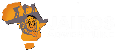 Tanzania safari