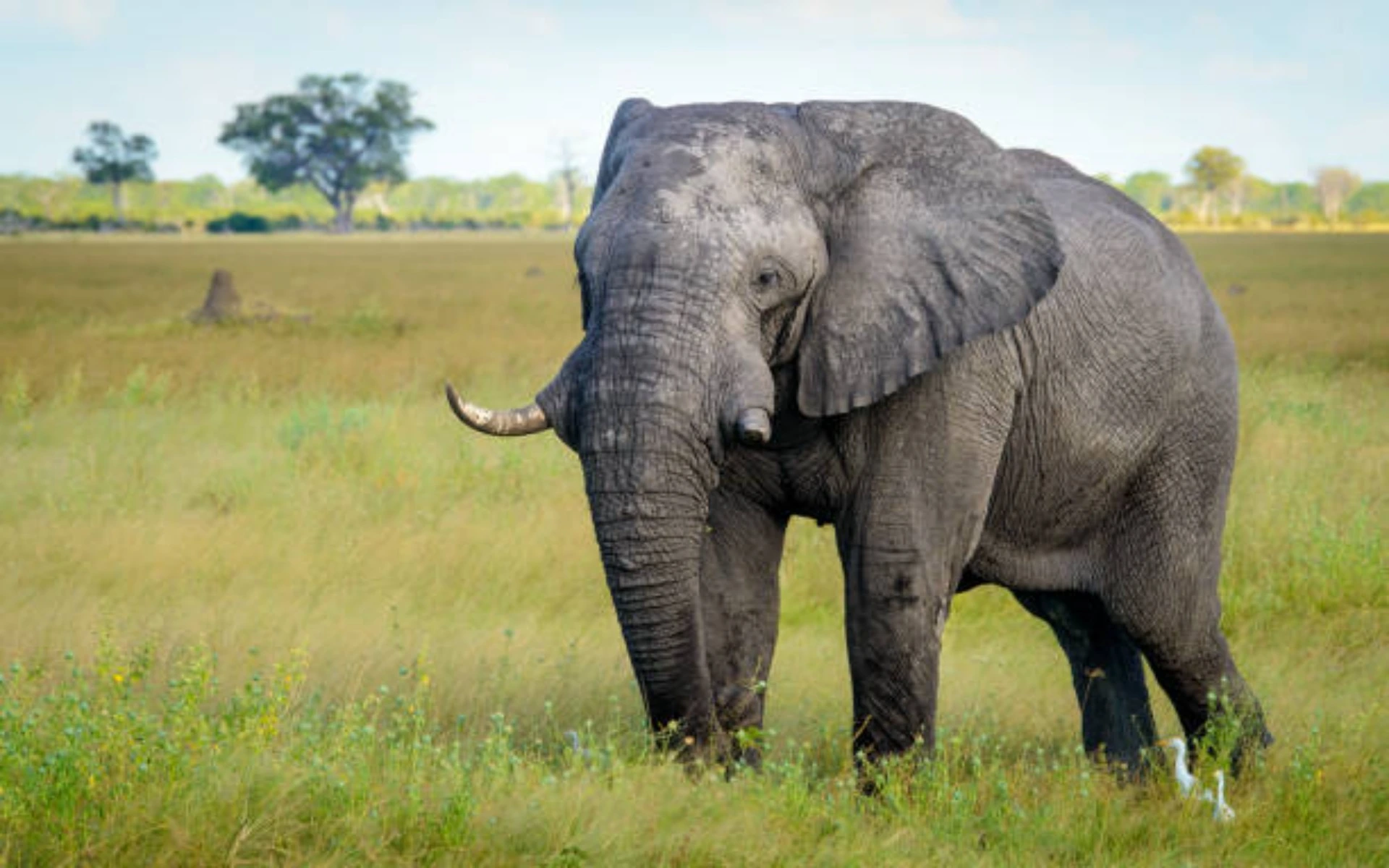 Arusha – Tarangire National Park