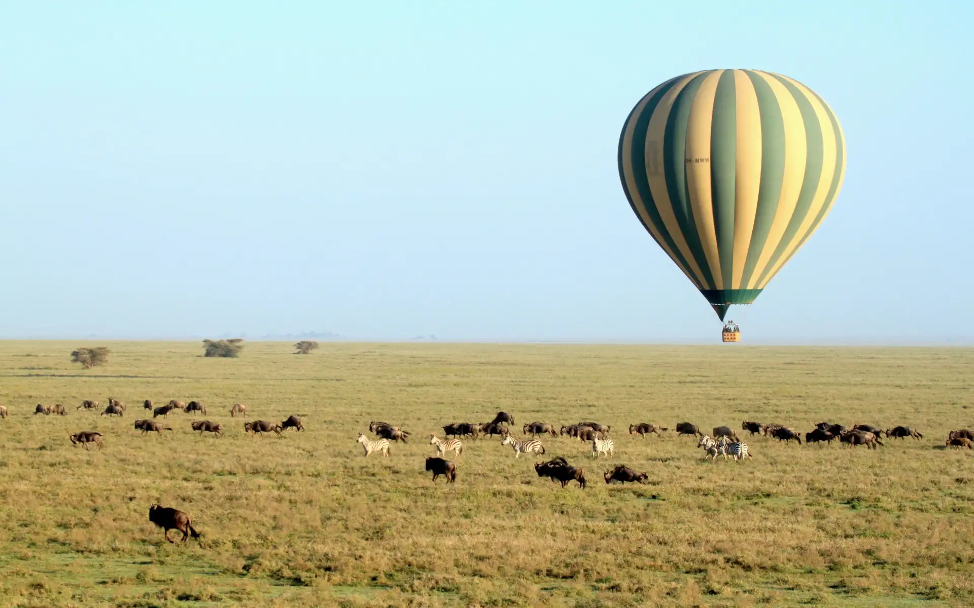 Tarangire National Park – Ngorongoro Crater