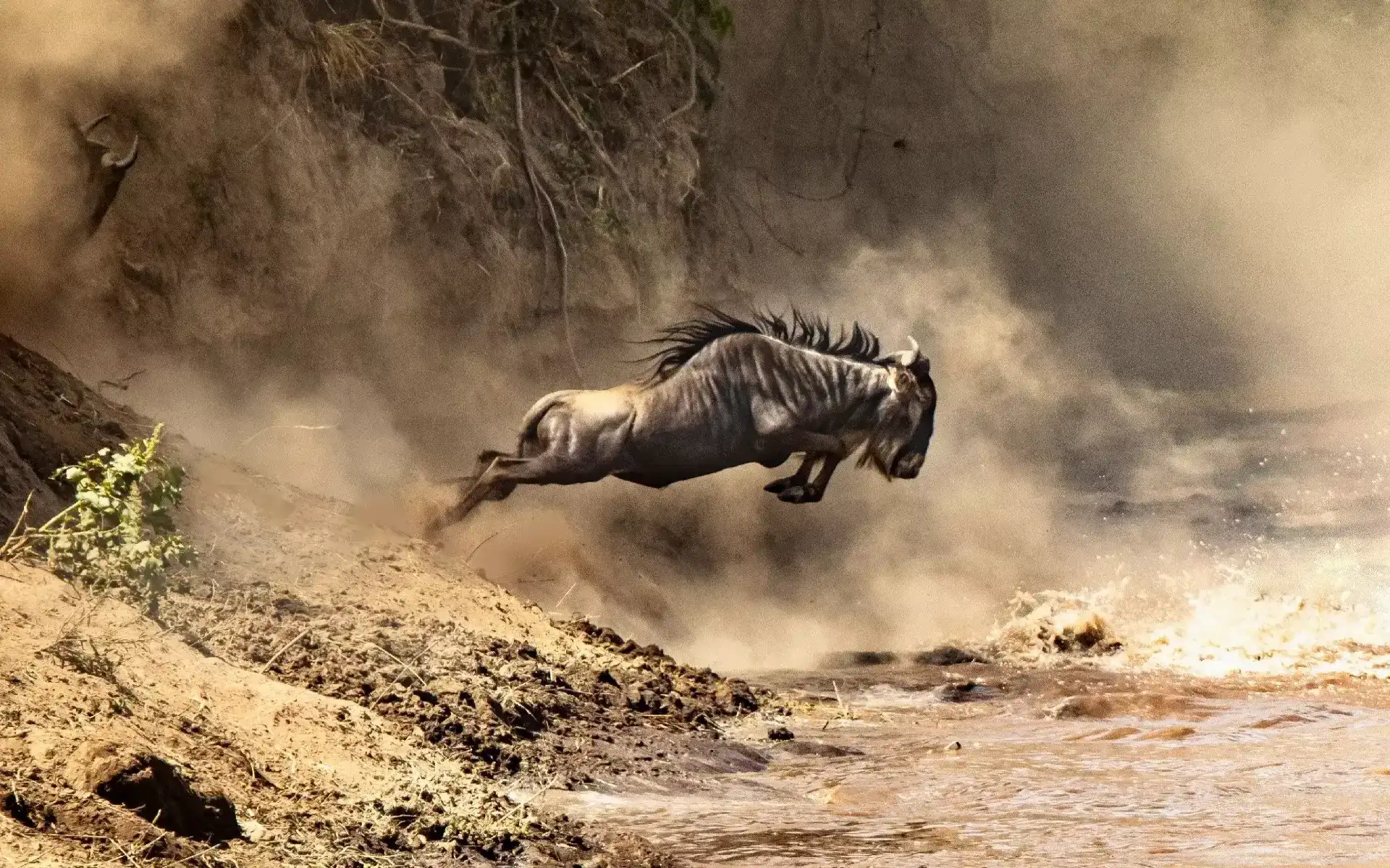 Full day in Serengeti National Park