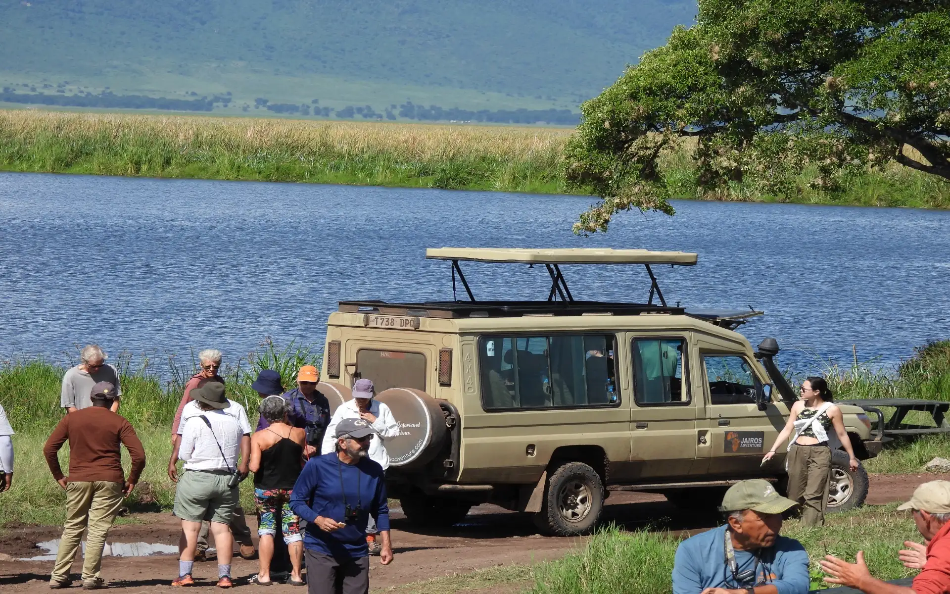 When to Go on Safari in Tanzania: A Season-by-Season Planning Guide