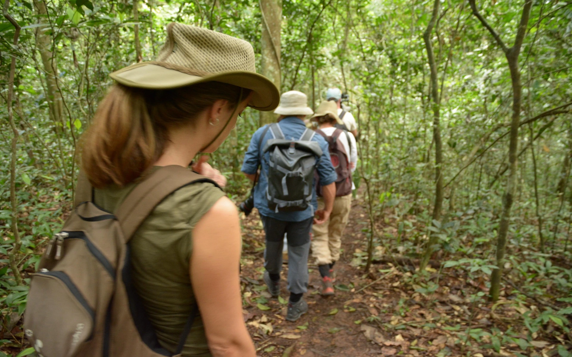 4-Days Gorillas and Chimpanzee Trekking Safari in Uganda