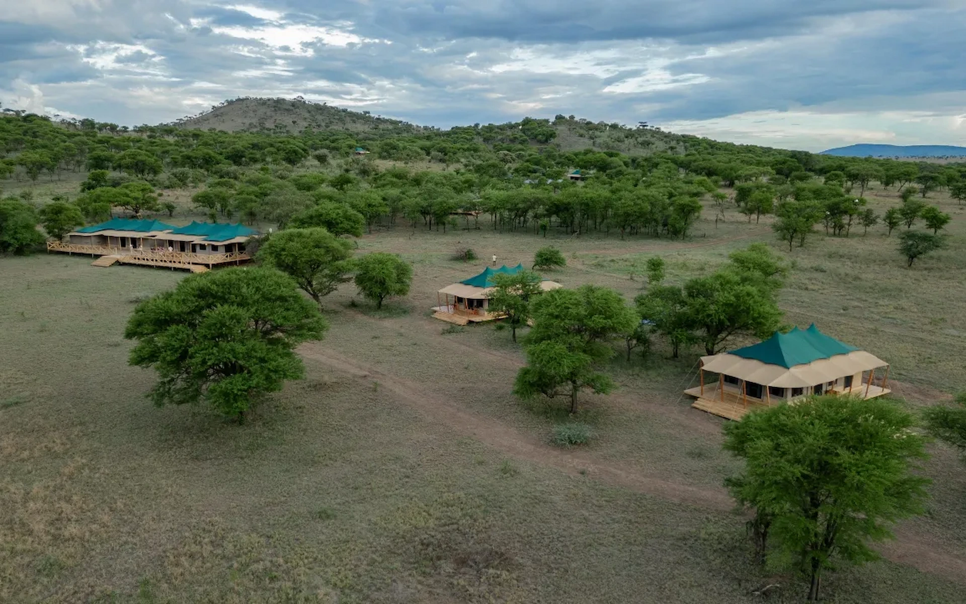 Signature Serengeti Luxury Tented Safari Camp