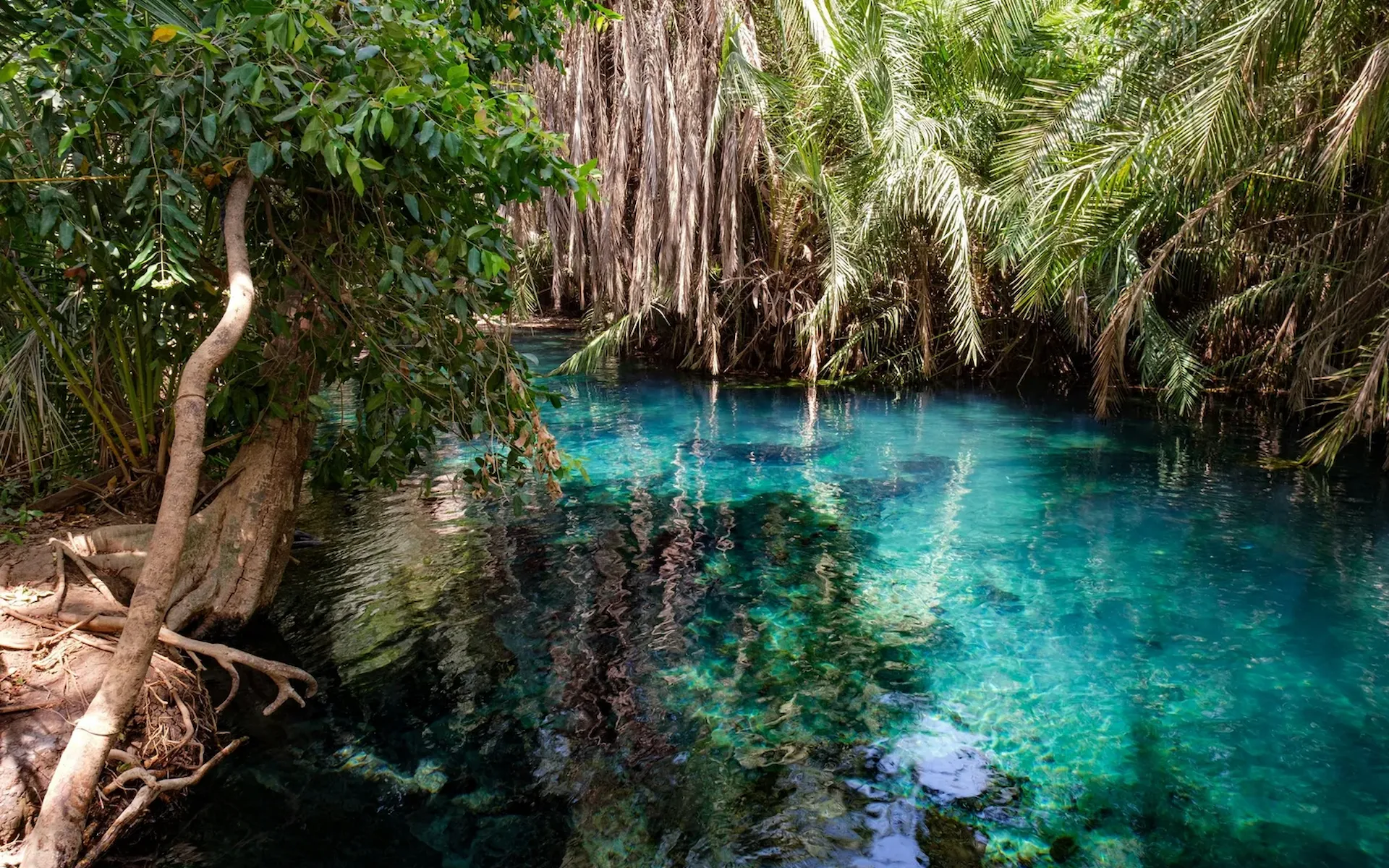 Chemka Hot Springs — photo 4