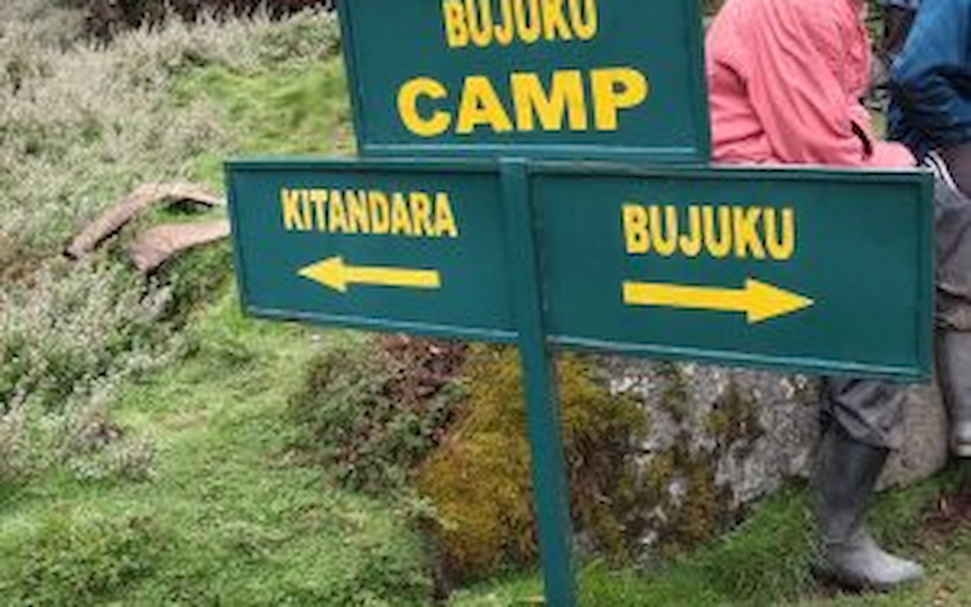 Kitandara Camp – 4,430 m — photo 2