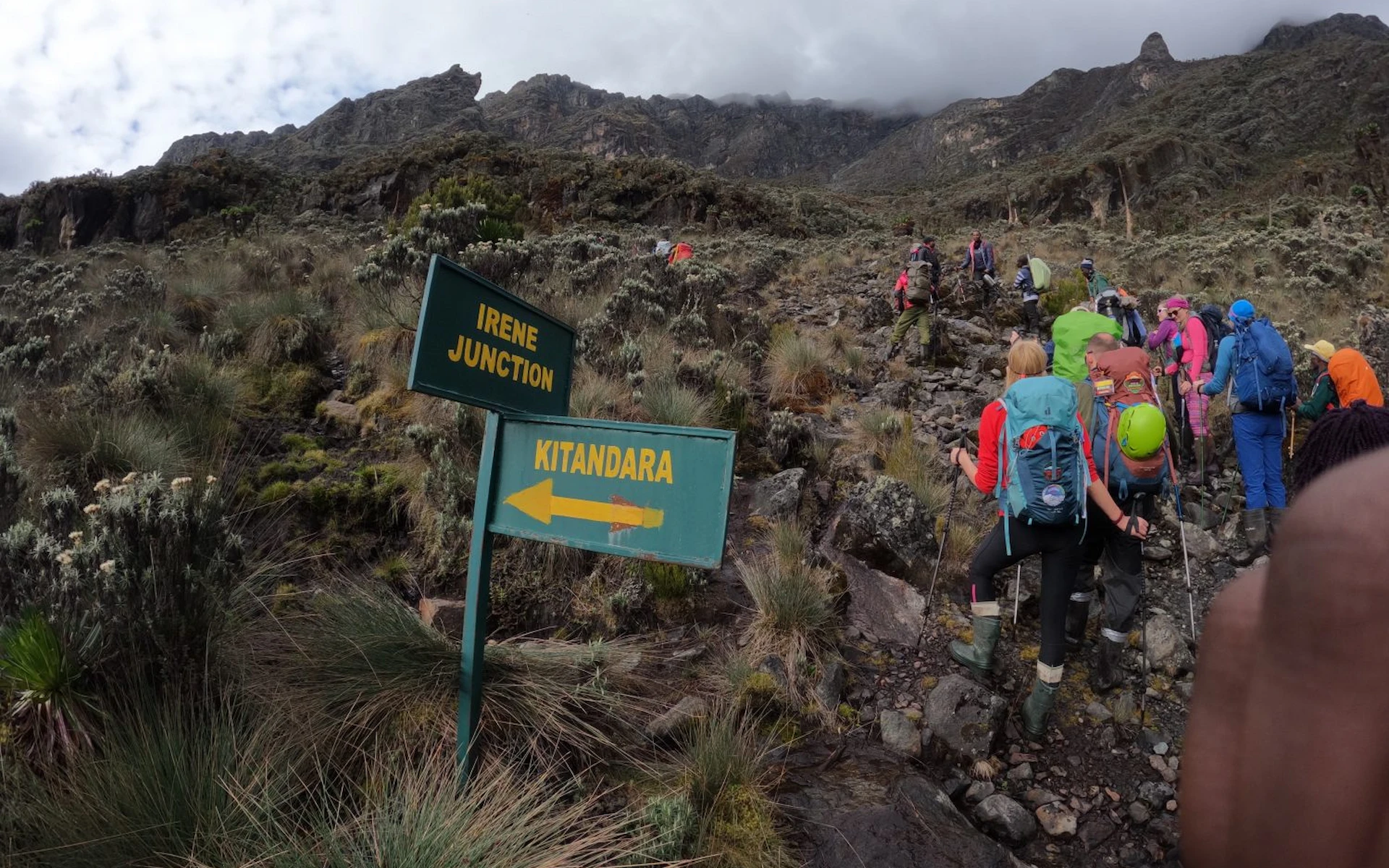  Nyabitaba Camp – 2,651 m — photo 1