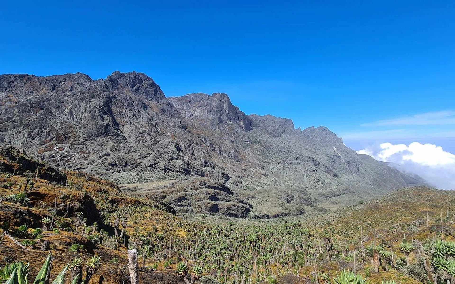 Guy Yeoman Camp – 3,261 m — photo 2