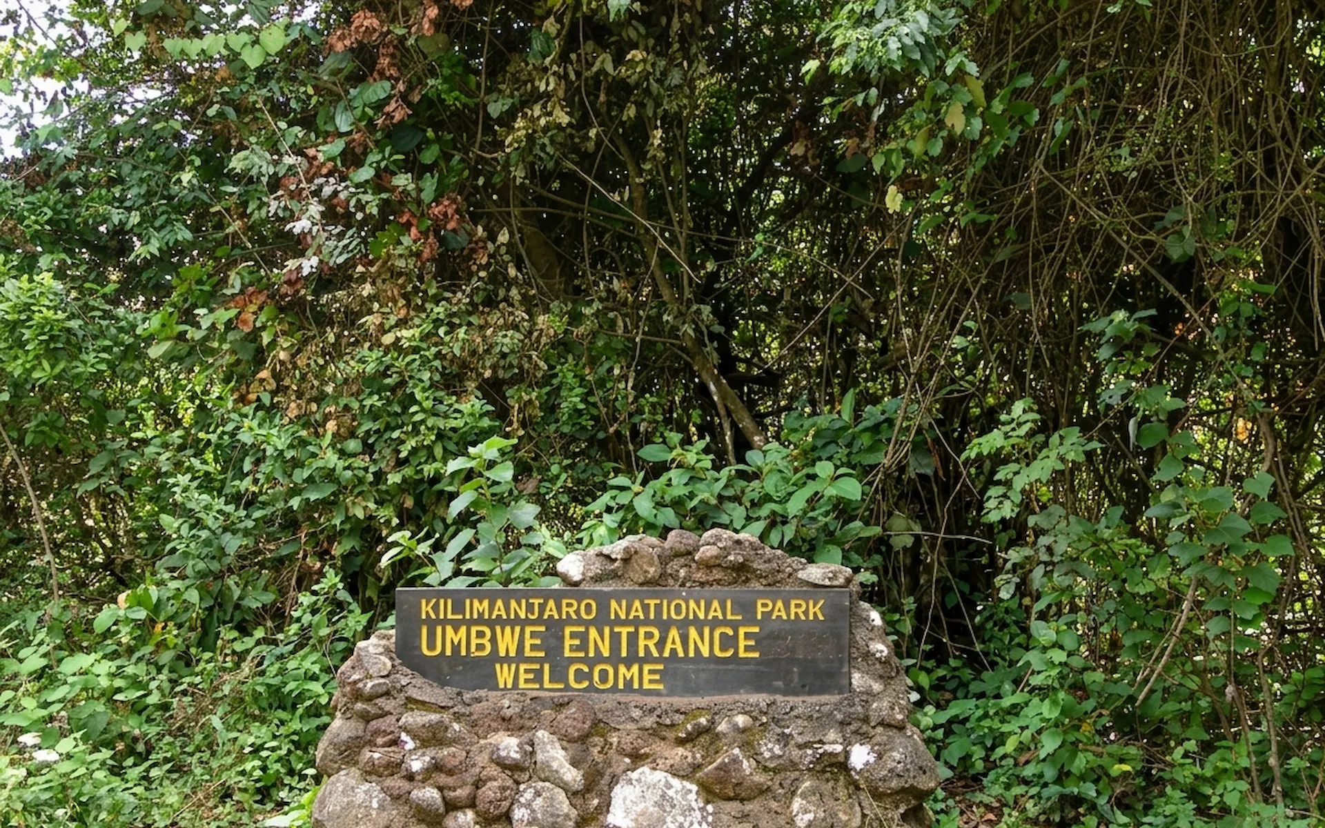 Umbwe Gate (1800m) — photo 1