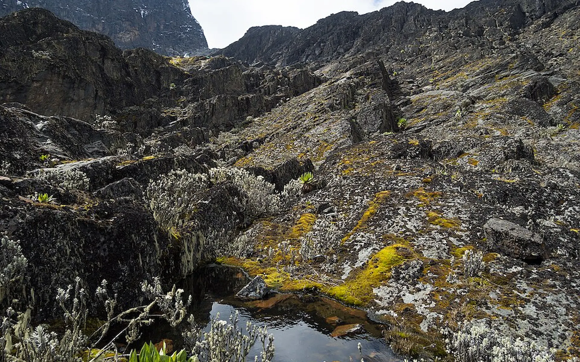Elena Camp – 4,541 m — photo 4