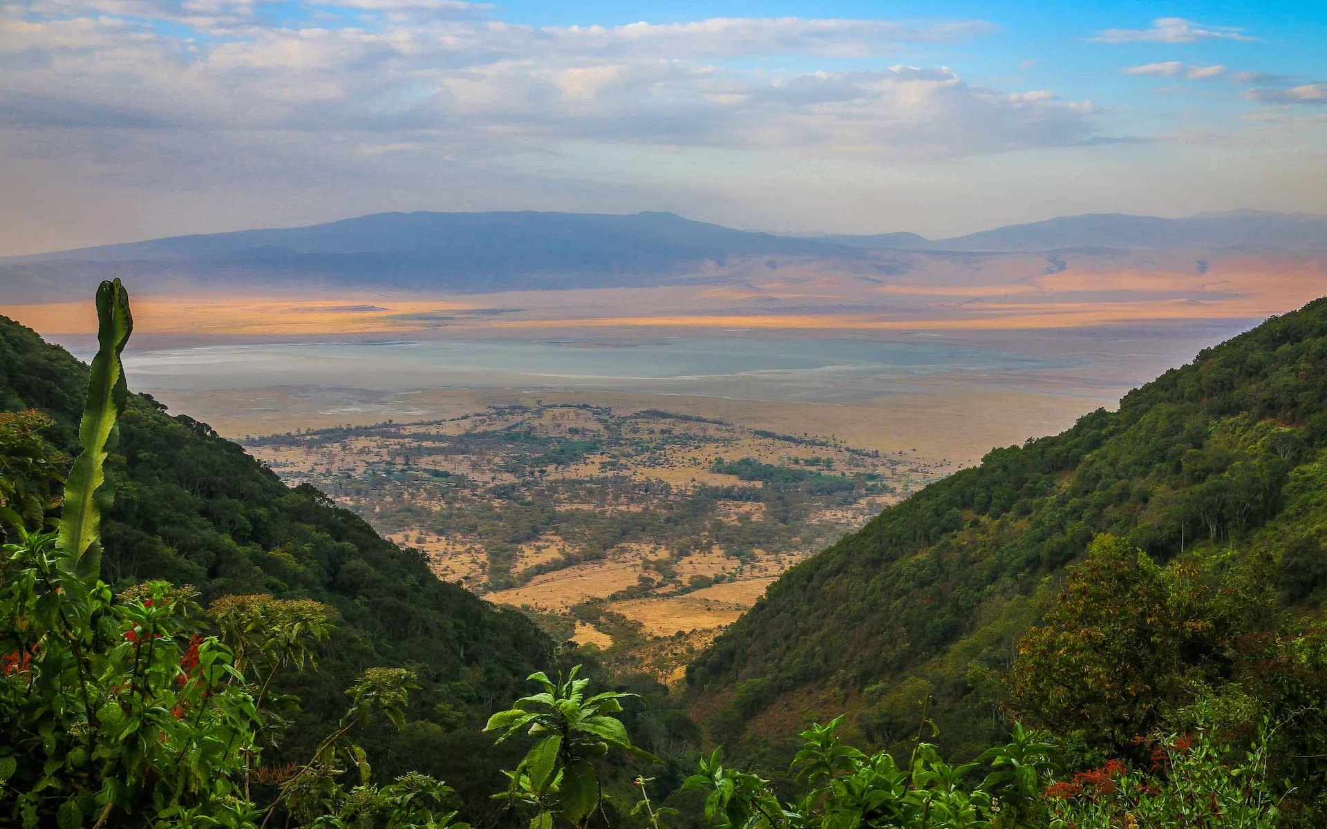 Ngorongoro Conservation Area — photo 5