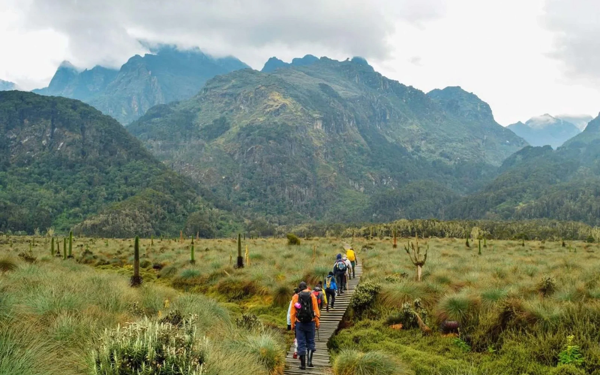 Rwenzori Trek — photo 4