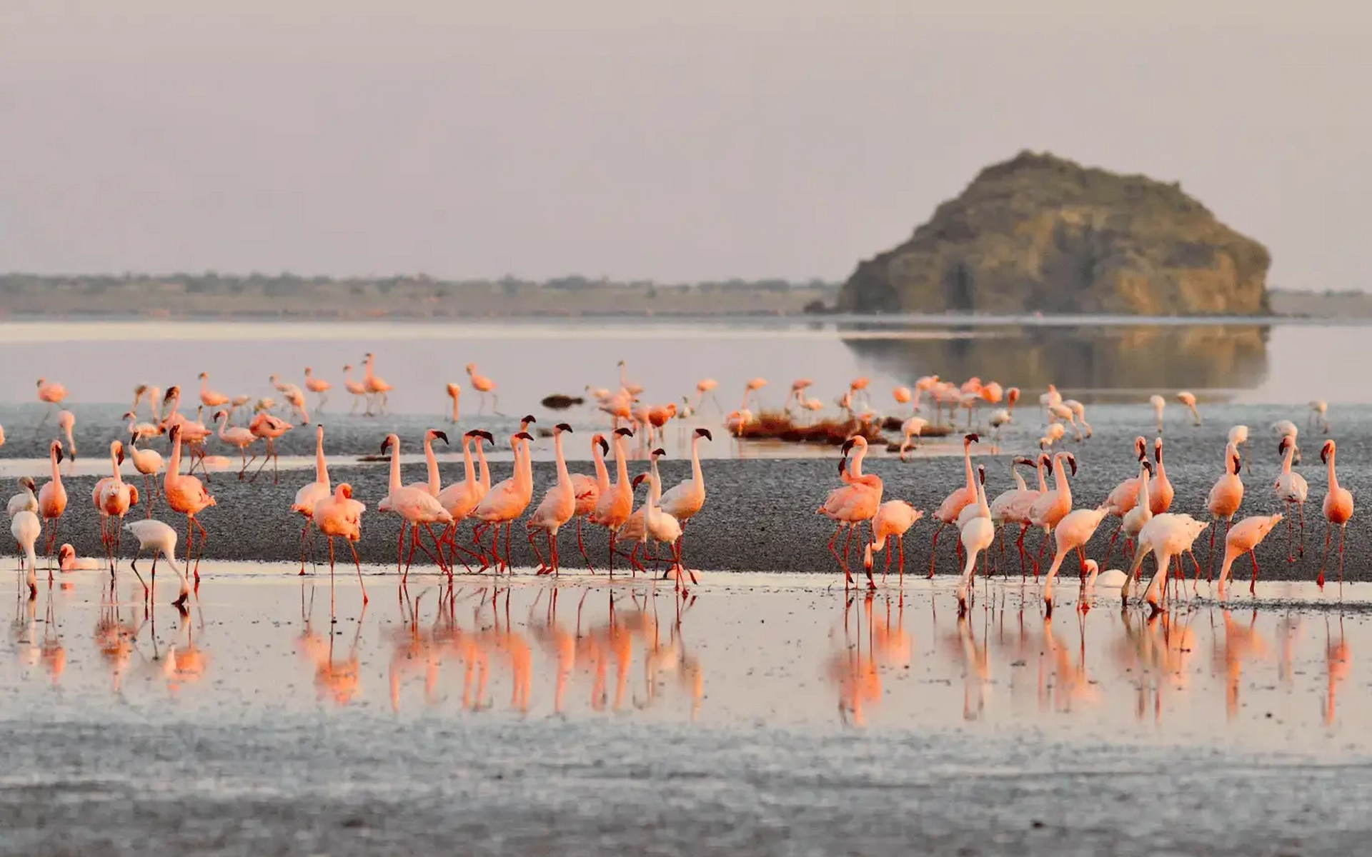 Lake Eyasi — photo 2