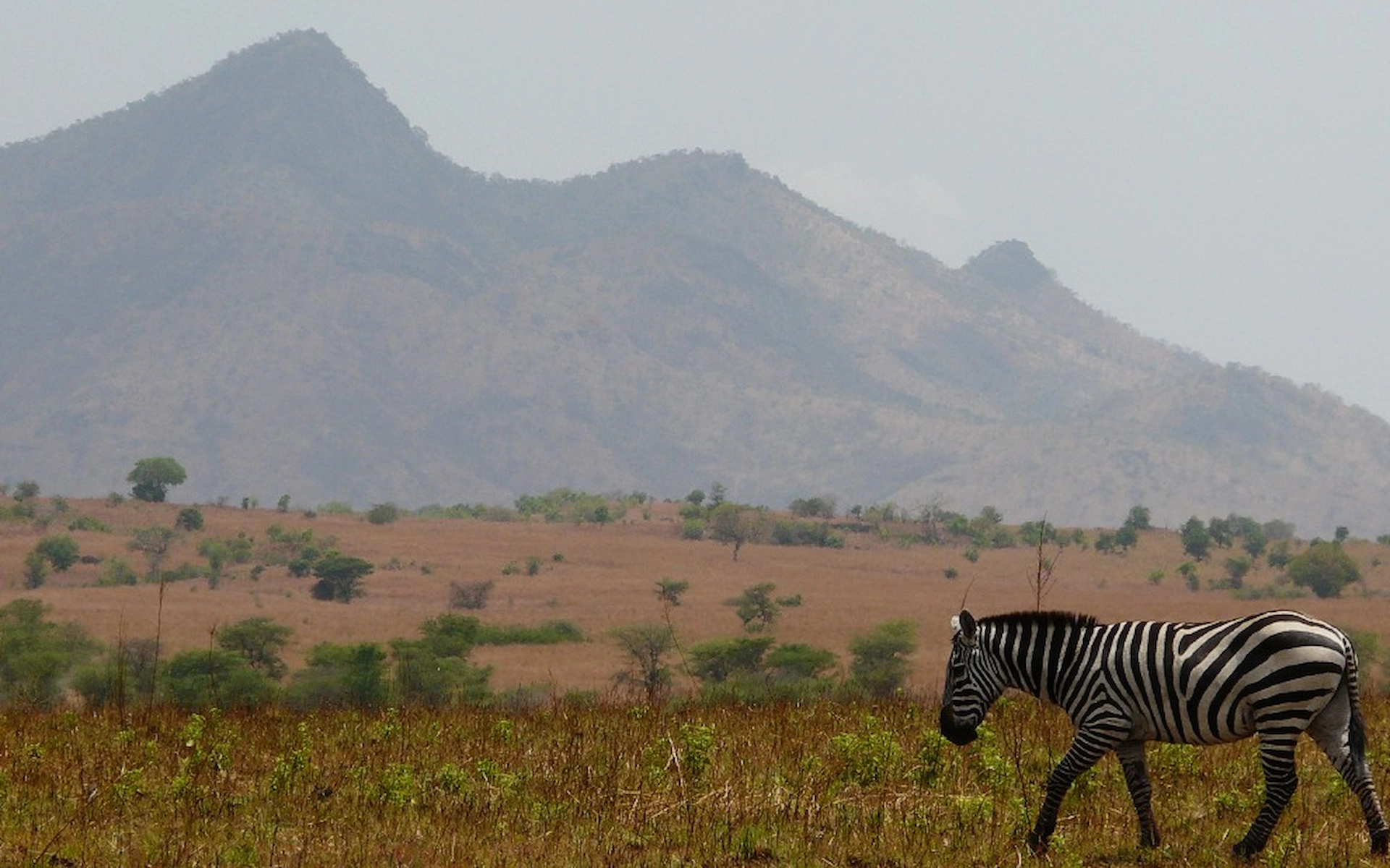  Kidepo Valley National Park — photo 7
