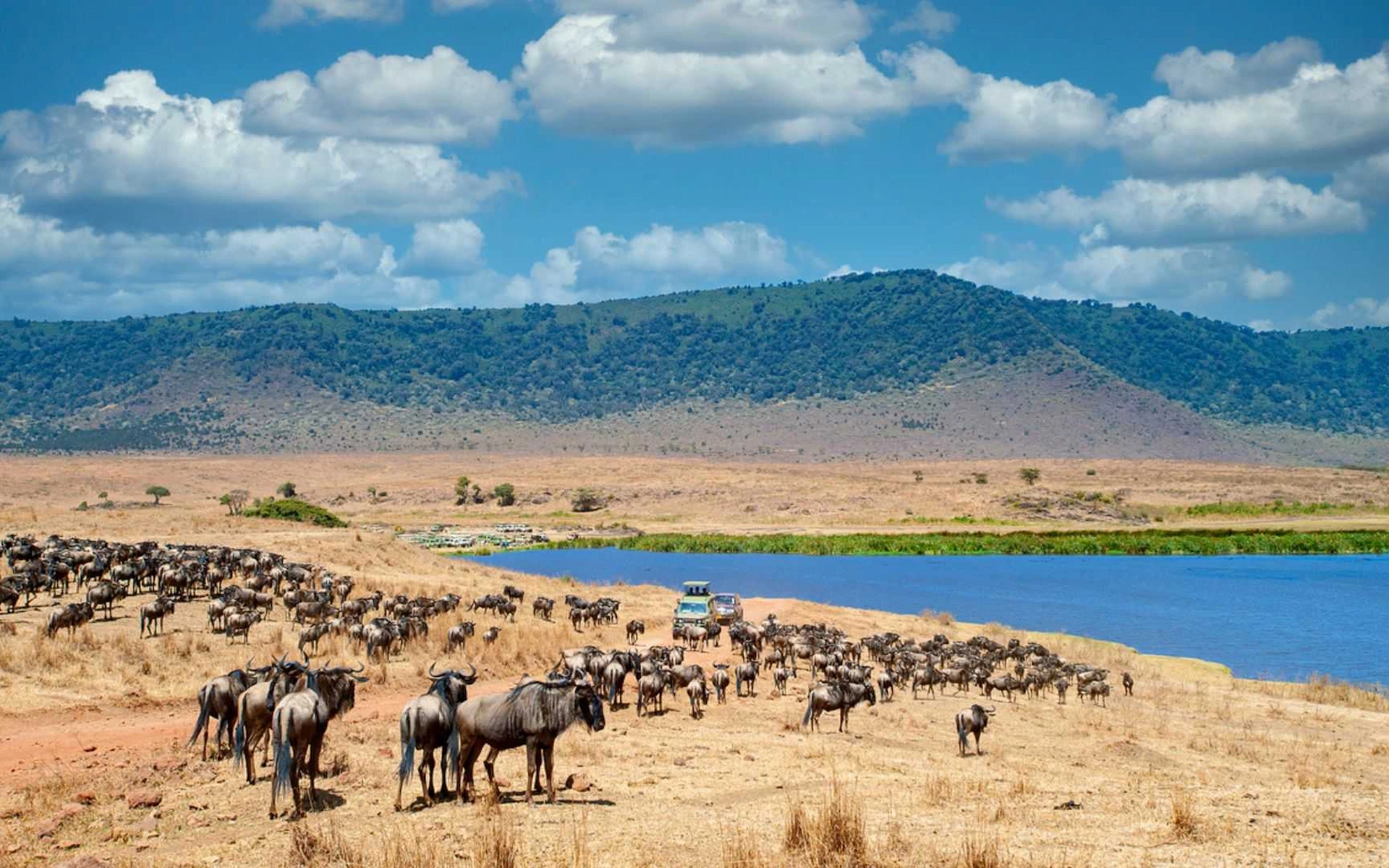 Ngorongoro Conservation Area — photo 4