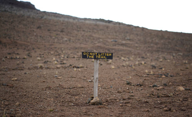 Marangu Route Kilimanjaro: Huts, 5 vs 6 Days, Difficulty and Success Rate (2026)