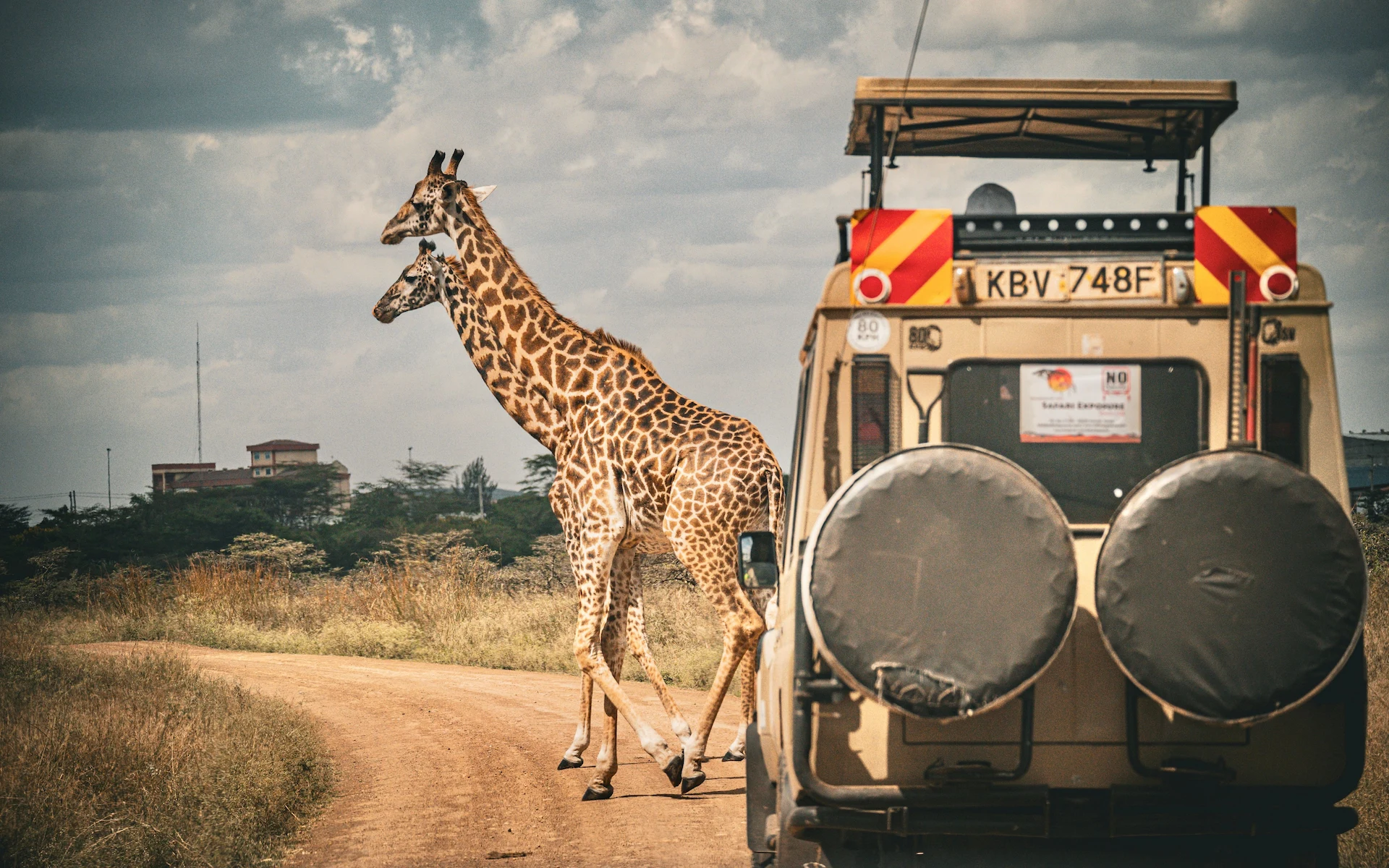 How Far Is Kenya from Tanzania? Distance, Border Crossing and Travel Options (2026)