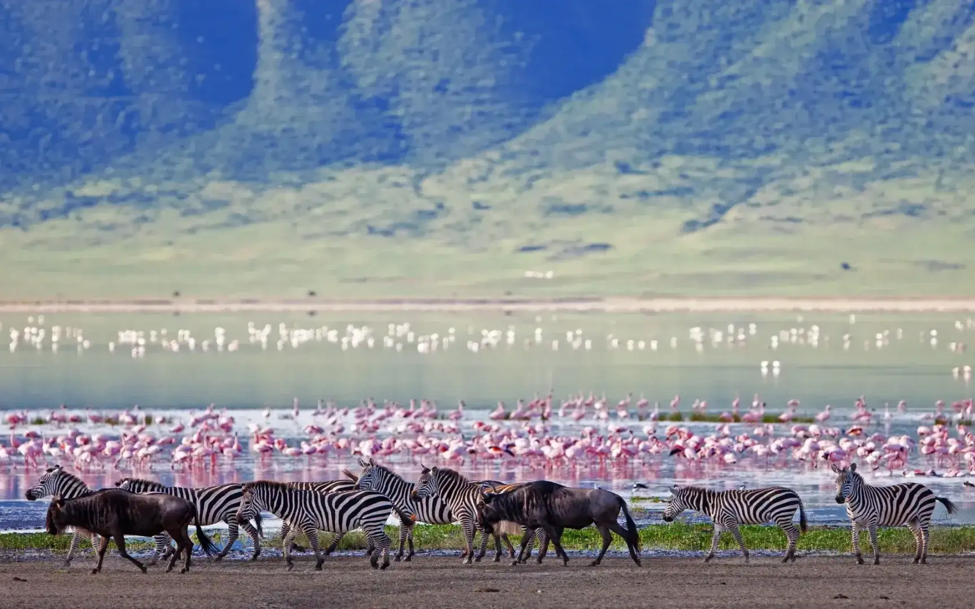 Day Trip to Ngorongoro Crater from Arusha