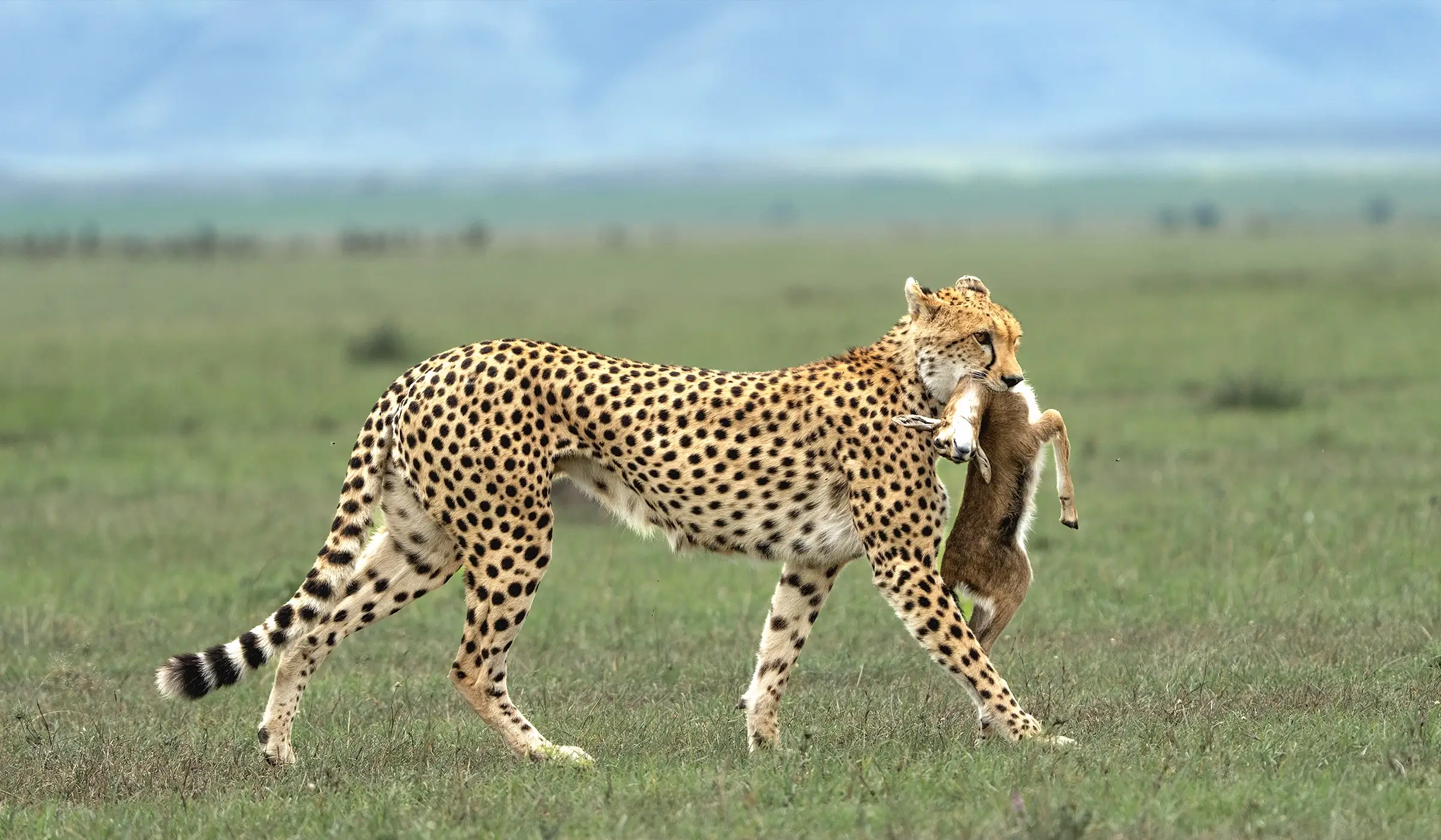 Ngorongoro Crater to Arusha