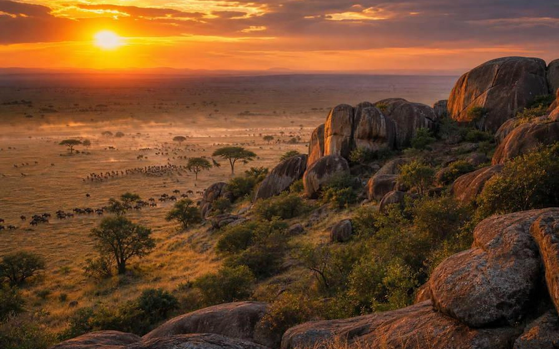 Serengeti National Park