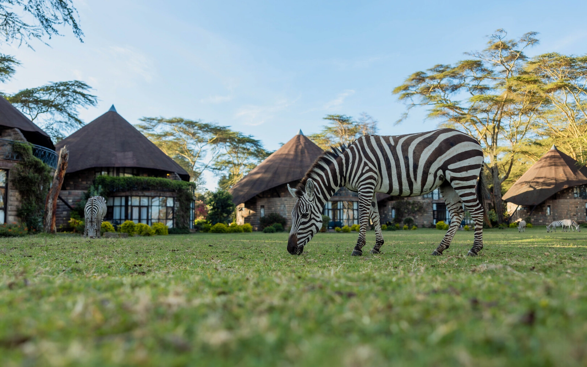 Lake Naivasha Sopa Resort