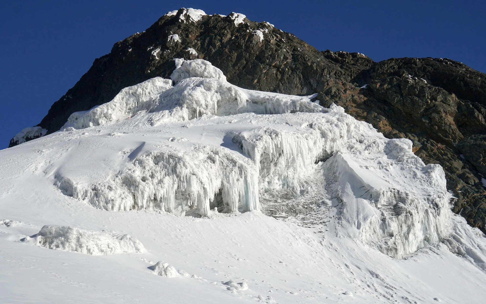 10-days trek to Margherita peak or Stanely