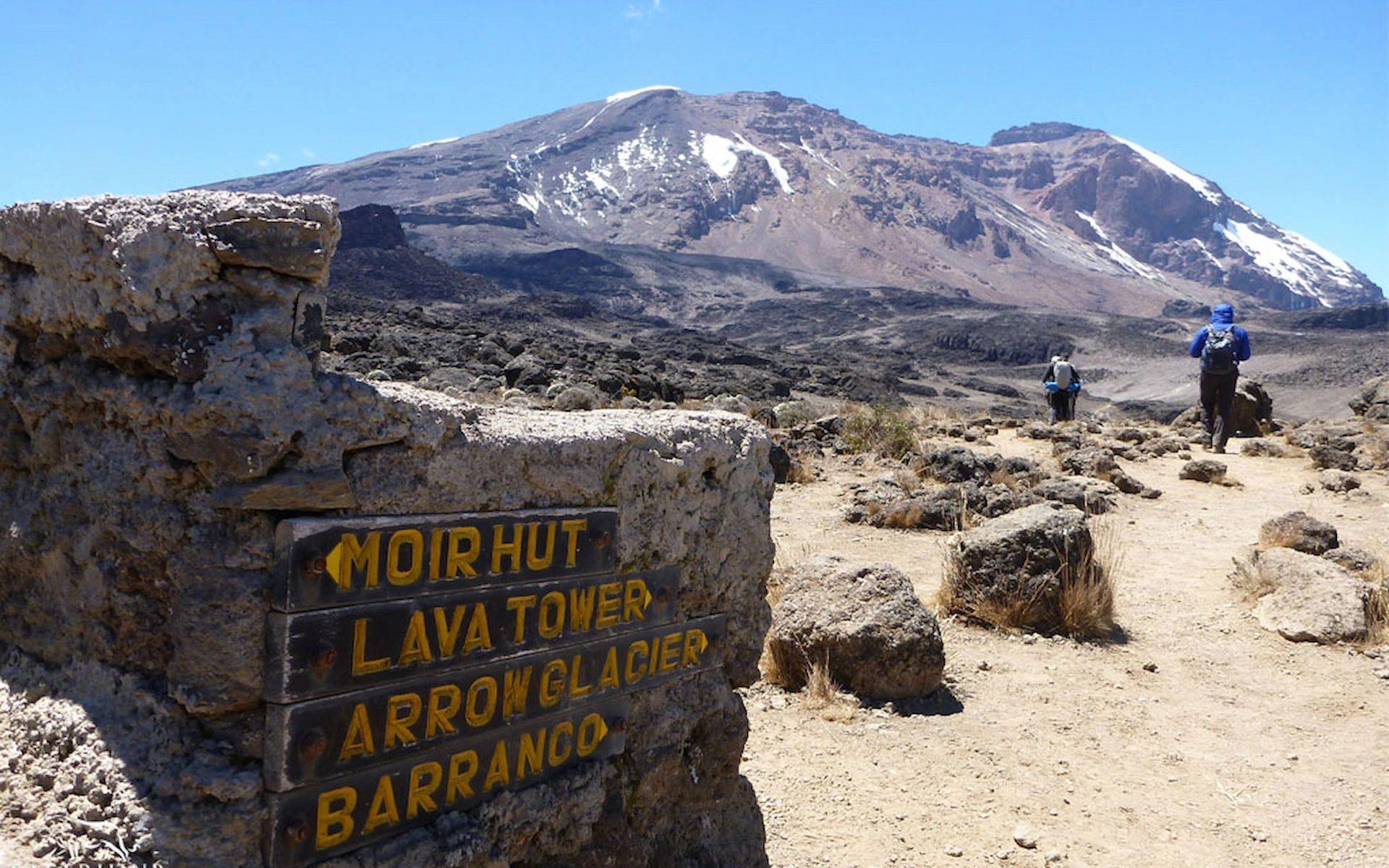 Moir Hut Camp (4,200 m) to Buffalo Camp (4,020 m)