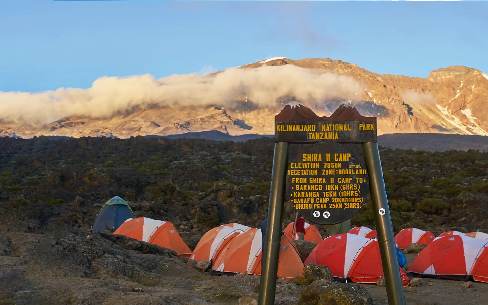Shira Camp 1 (3,550m) to Shira Camp 2 (3,840m)