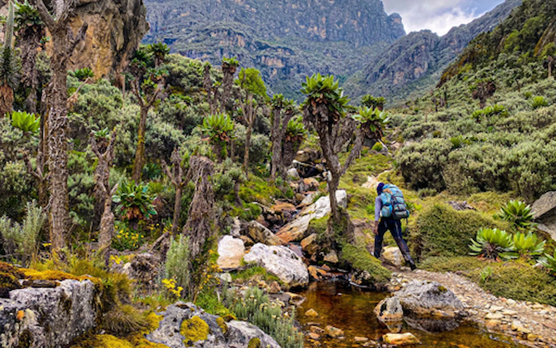 GUY YEOMAN – NYABITABA – NYAKALENGIJA (1615m asl.)