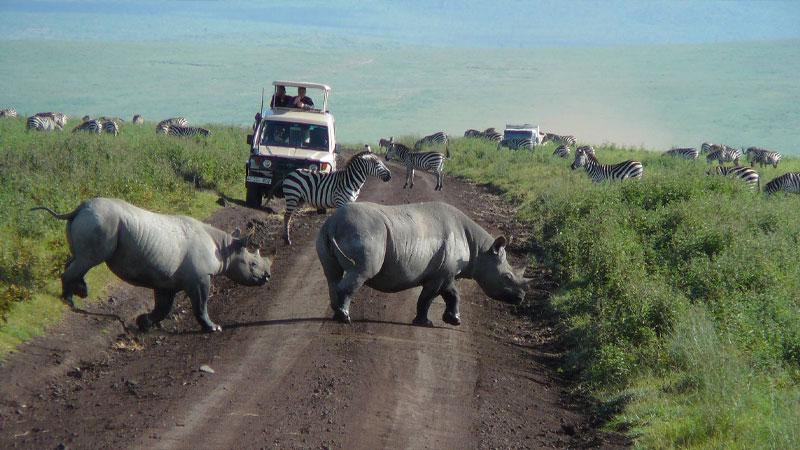 2-Days Tarangire and Ngorongoro Crater