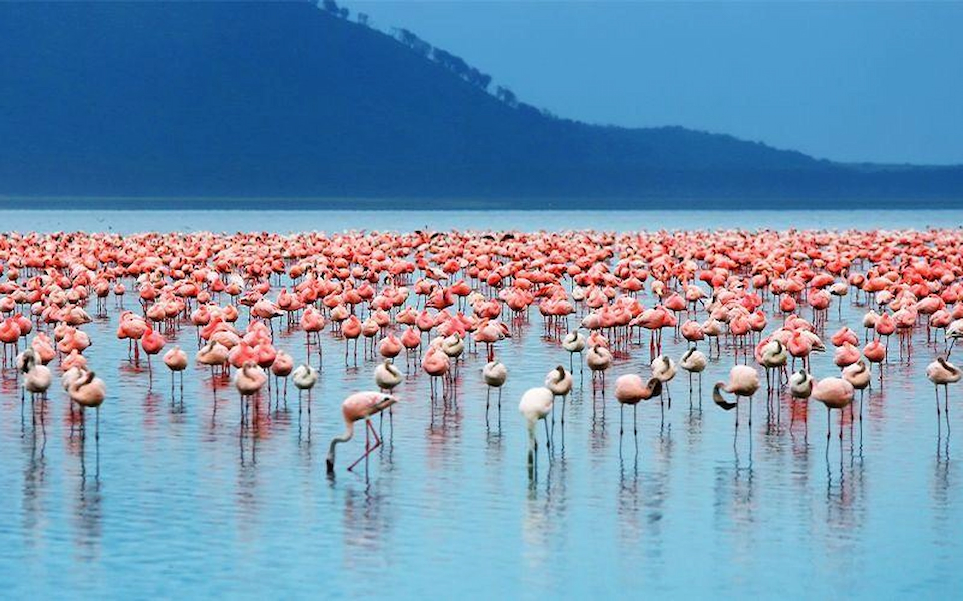 Lake Manyara Park to Arusha