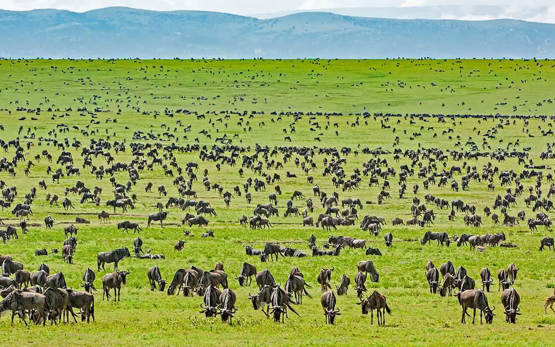 Serengeti National Park