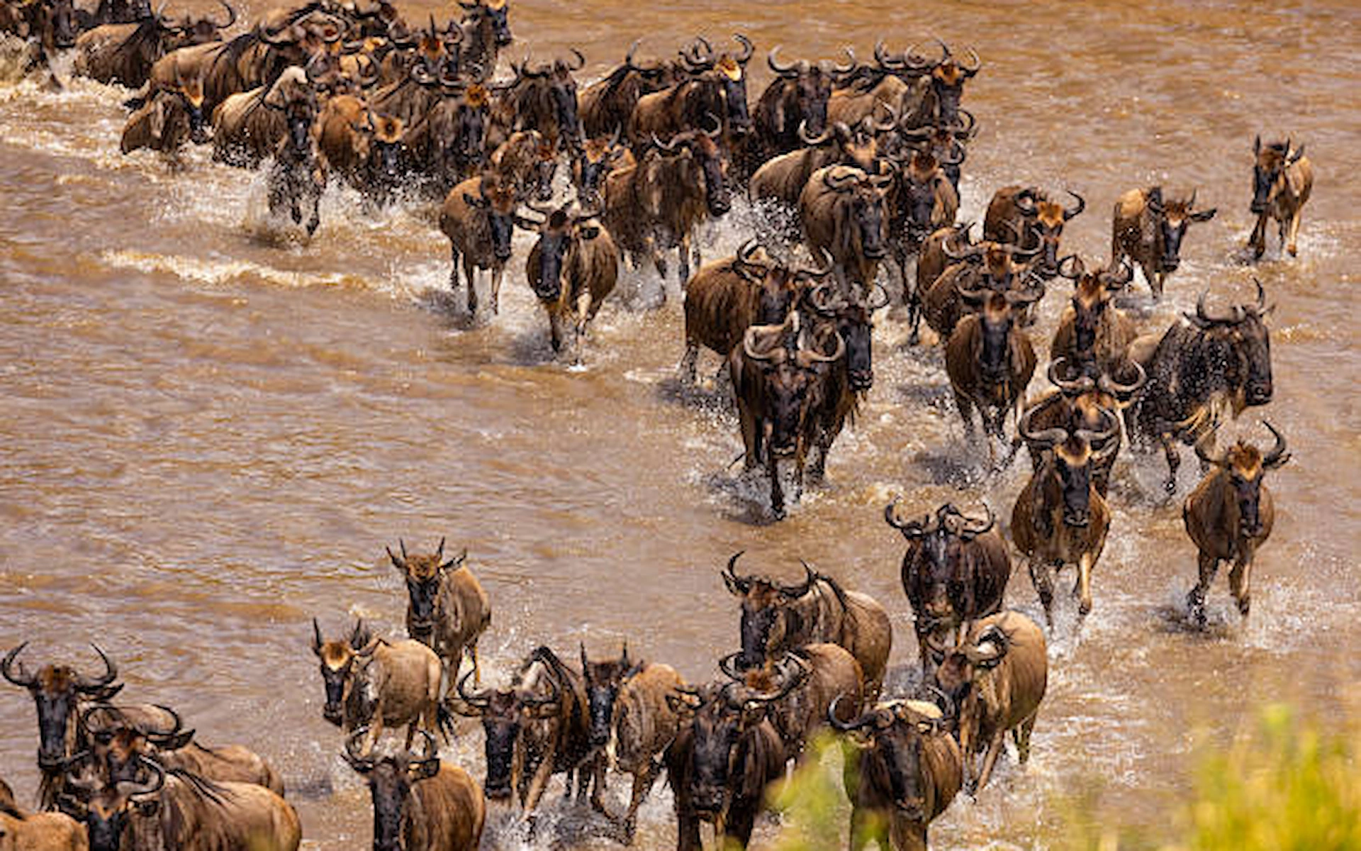 Serengeti National Park