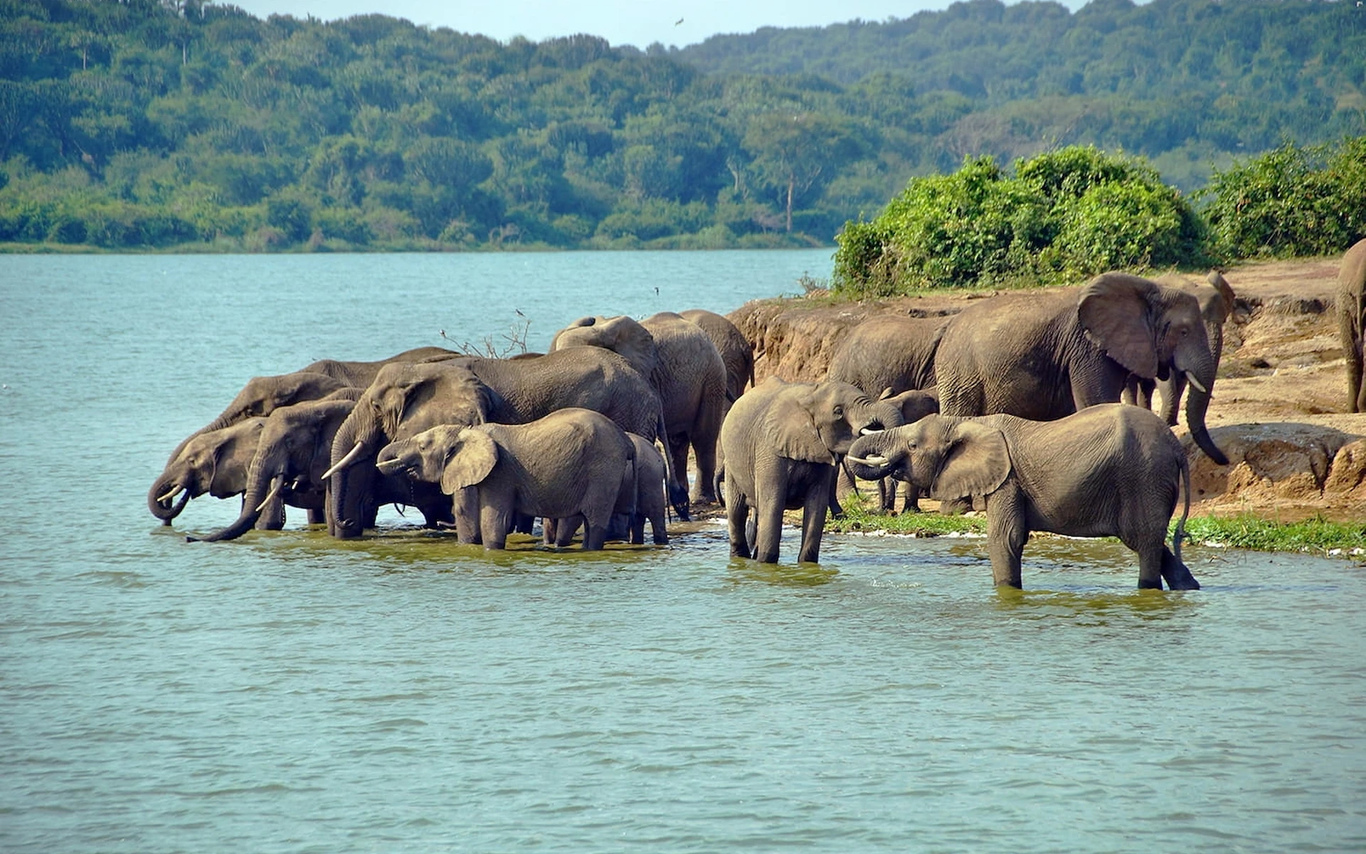 Nairobi – Amboseli National Park