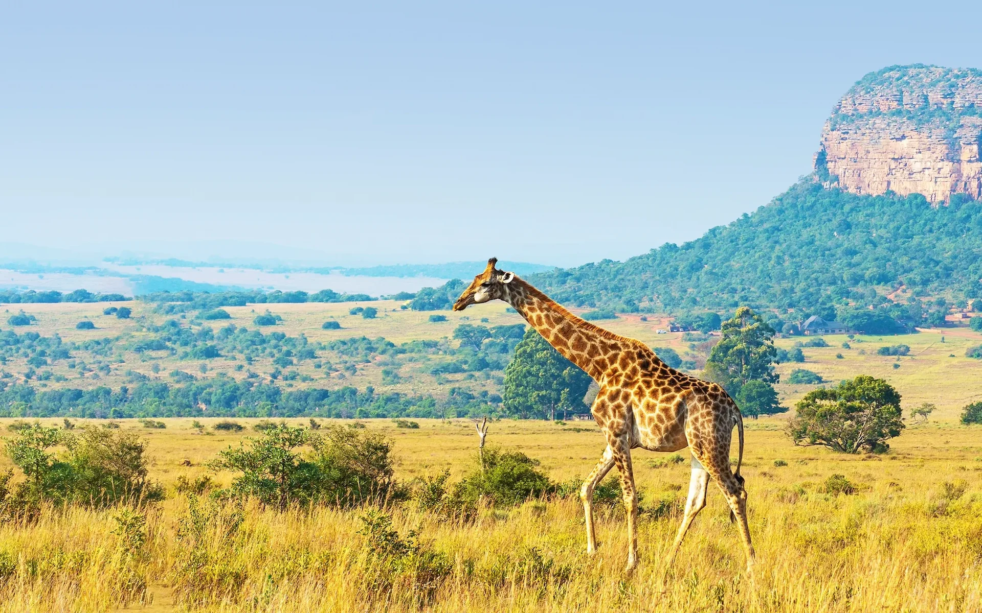 Ngorongoro Crater to Arusha