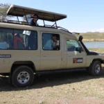 Tanzania safaris