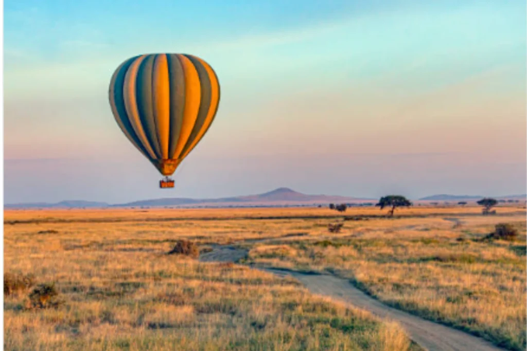 Safari in Tanzania
