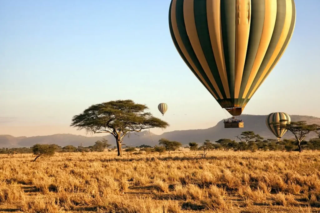 12-Day Premium Luxury Safaris