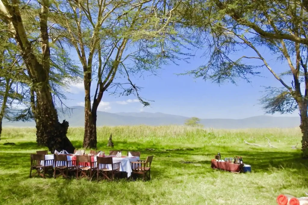 Bush meal in Tanzania