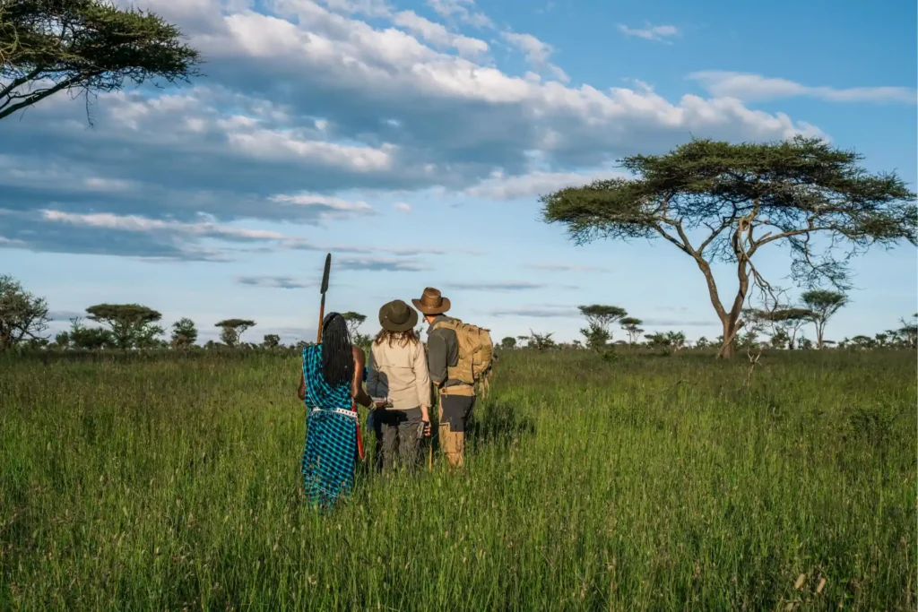 10-Day Wildebeest Migration