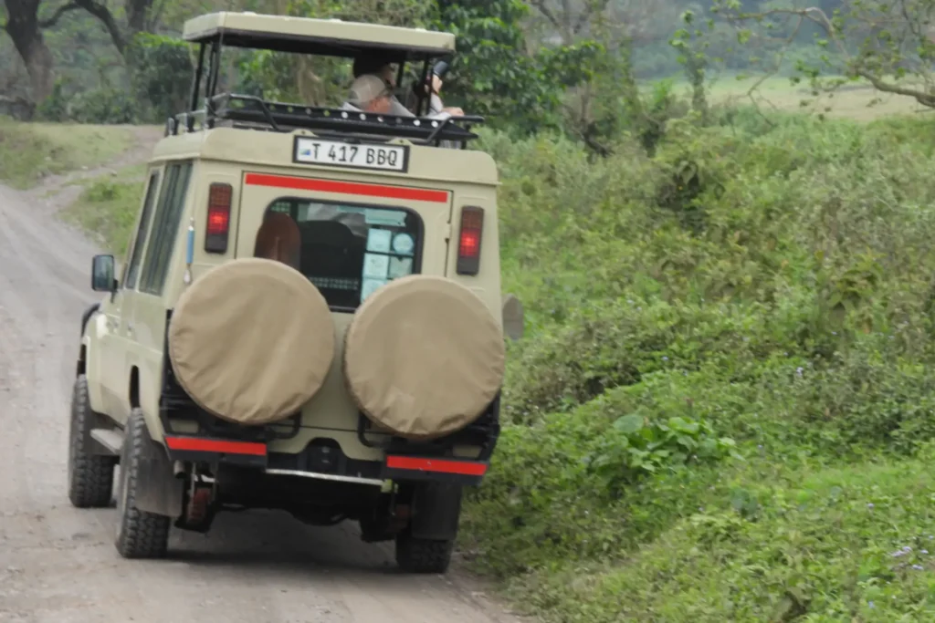 Honeymoon Safari