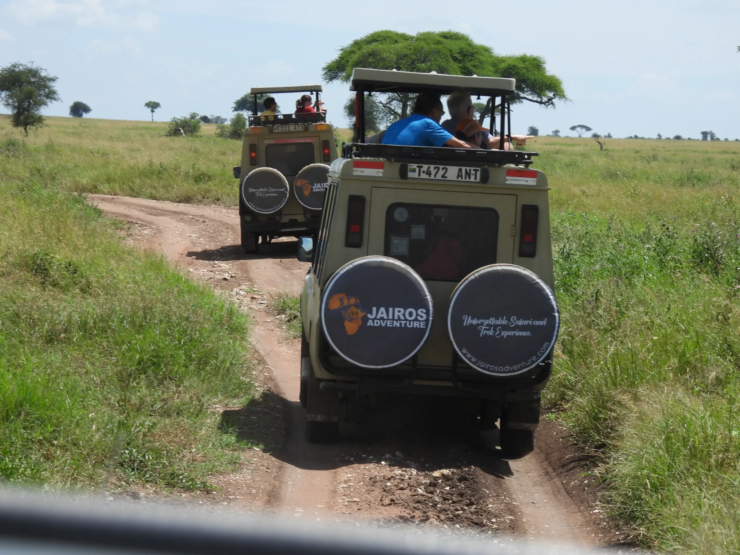 Tanzania Safari