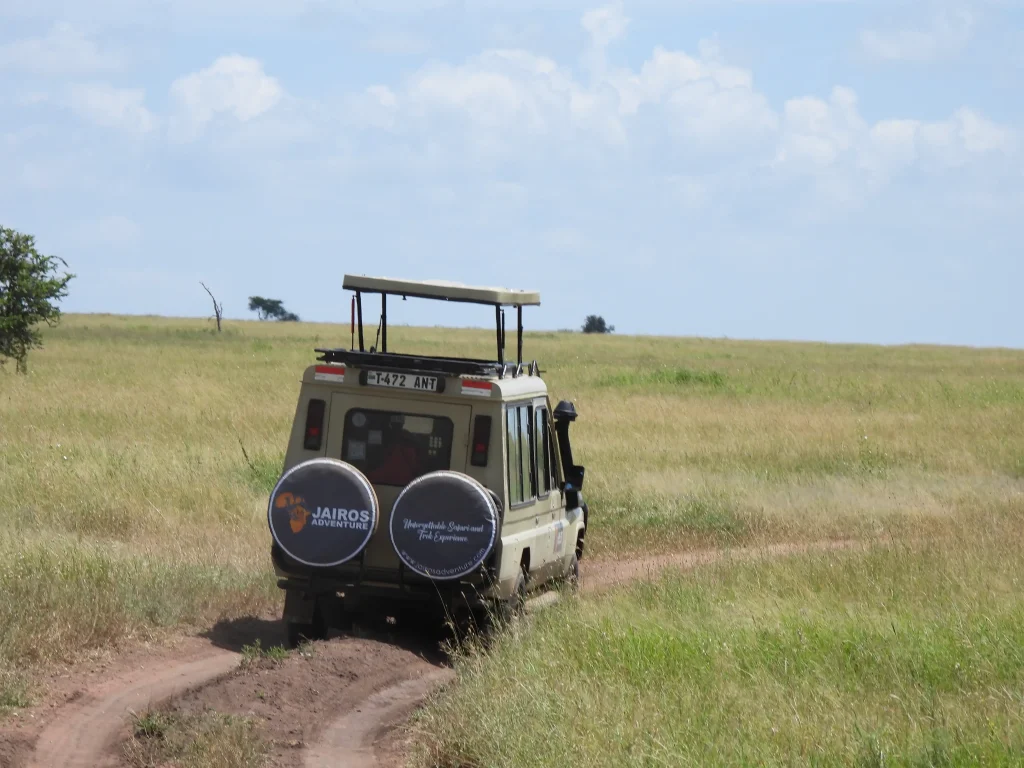 Tanzania safari planning
