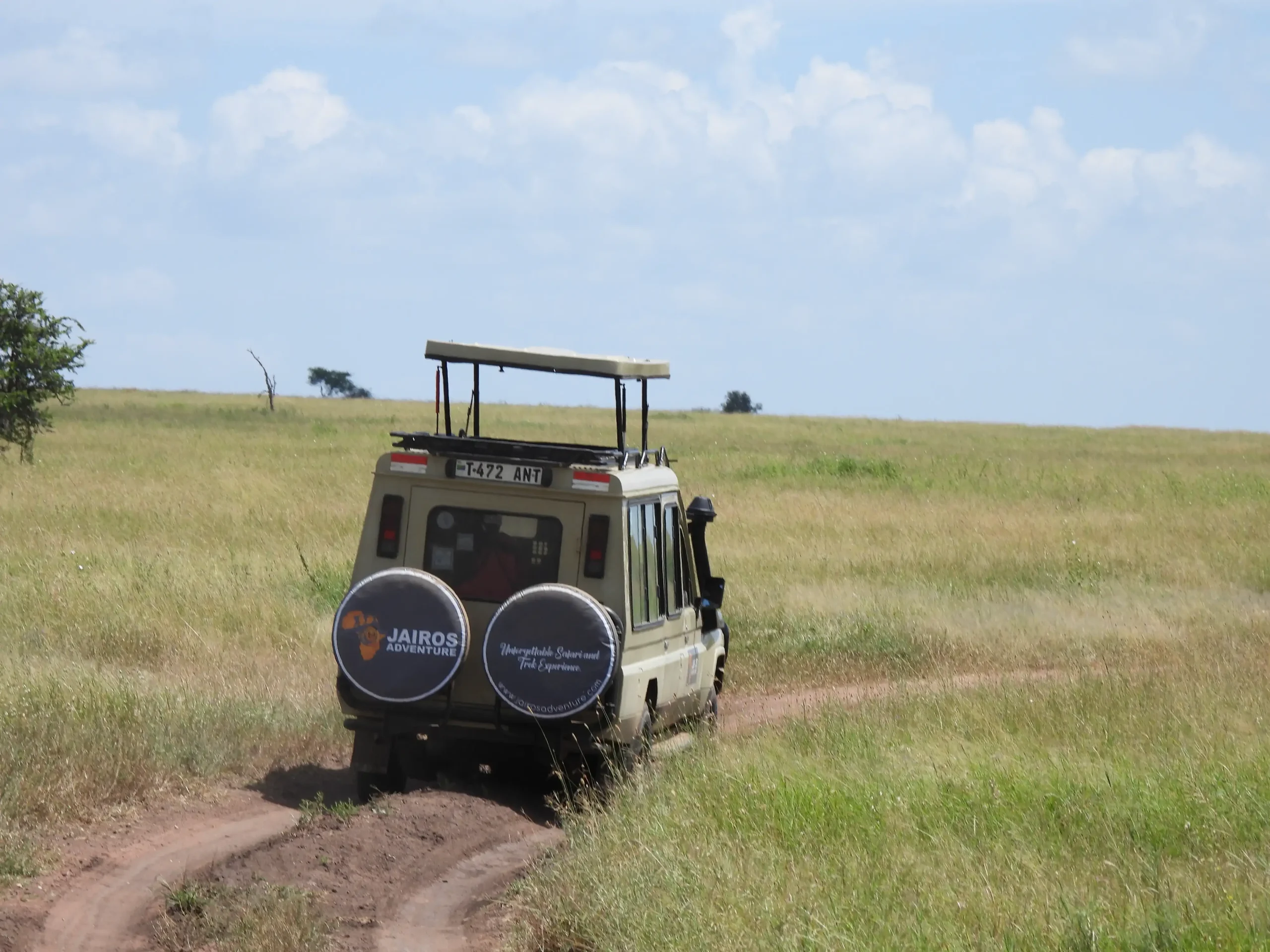 Tanzania safari planning