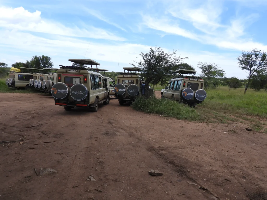 Best Tanzania Safari Companies