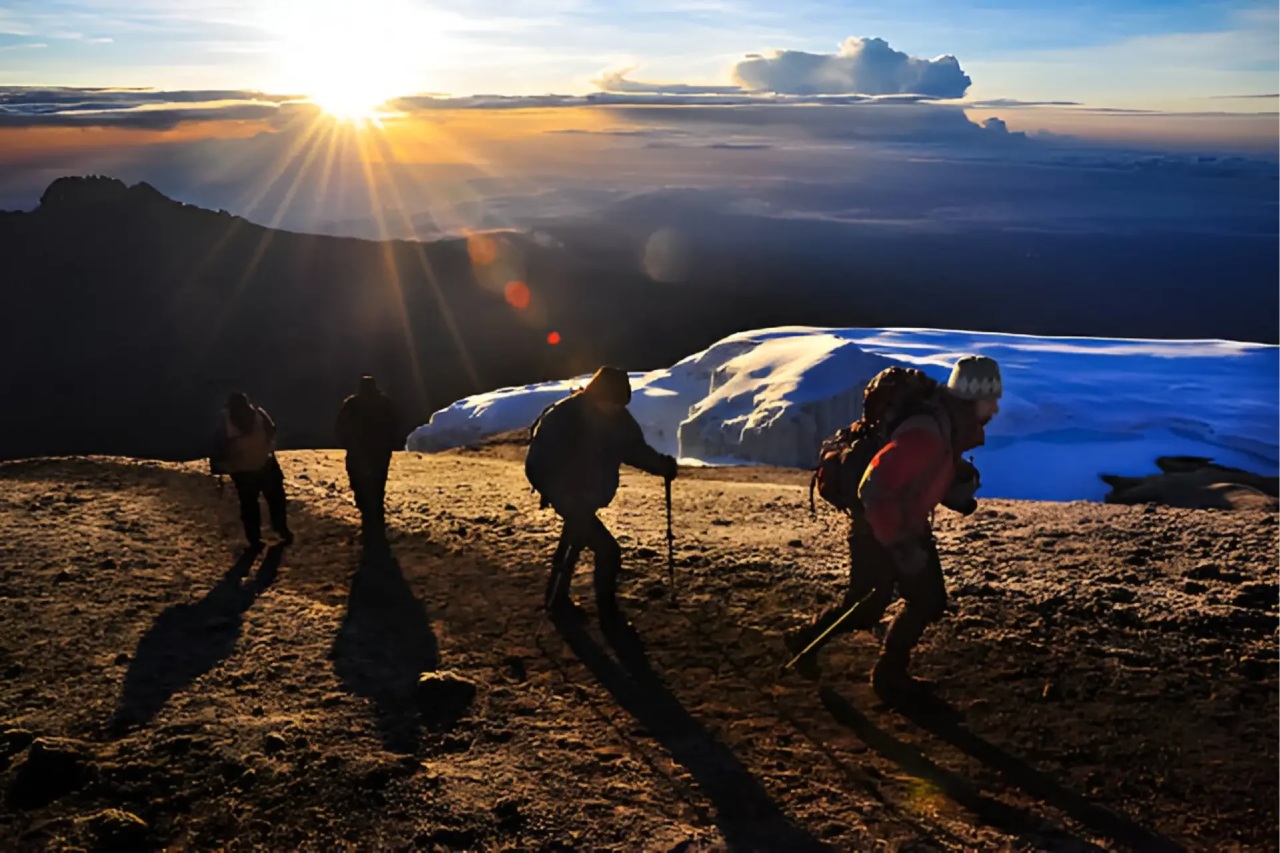 8-Day Lemosho Route Climb