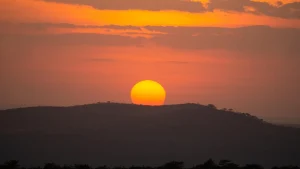 how to plan a safari in Tanzania 