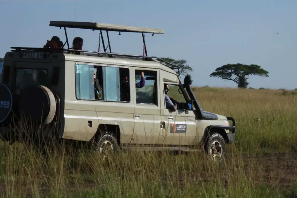 Serengeti safari adventures