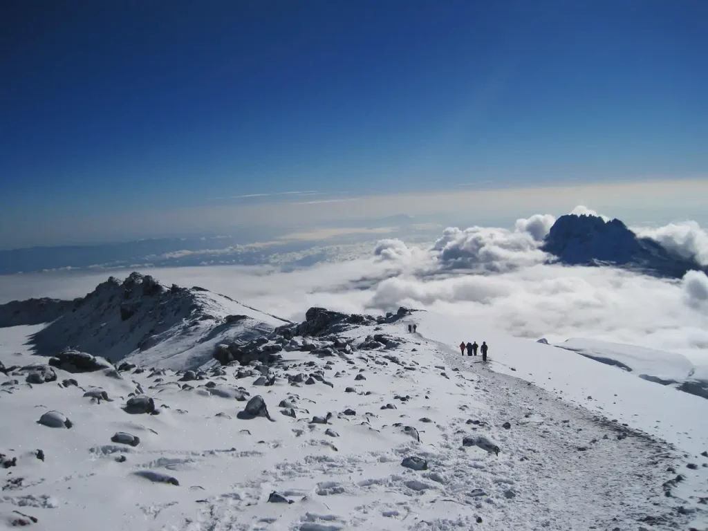 Kilimanjaro treks
